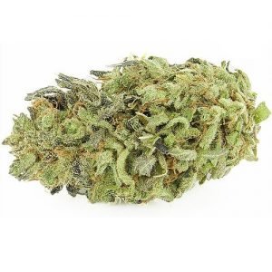 real cannabis Durban Poison