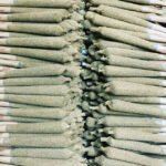 buy Pre rolled Blunts