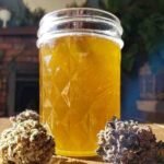 bubble gum cannabis oil