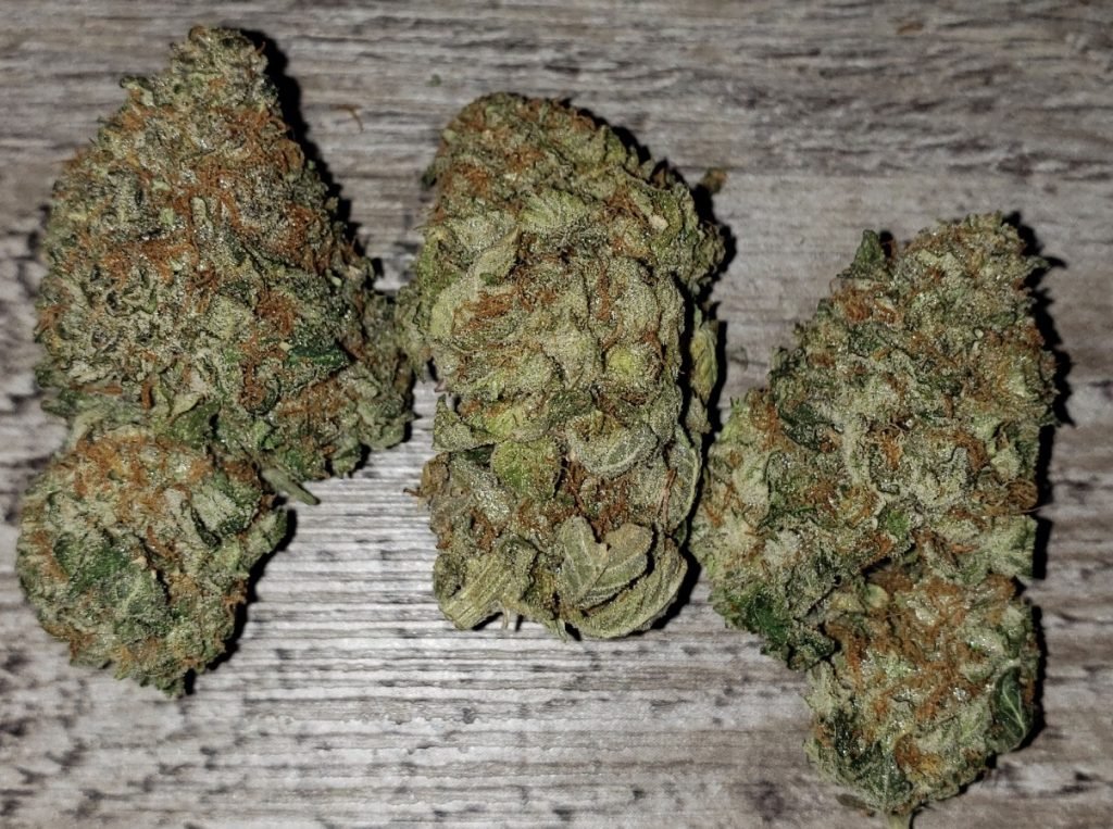 Rainbow Kush - Image 4