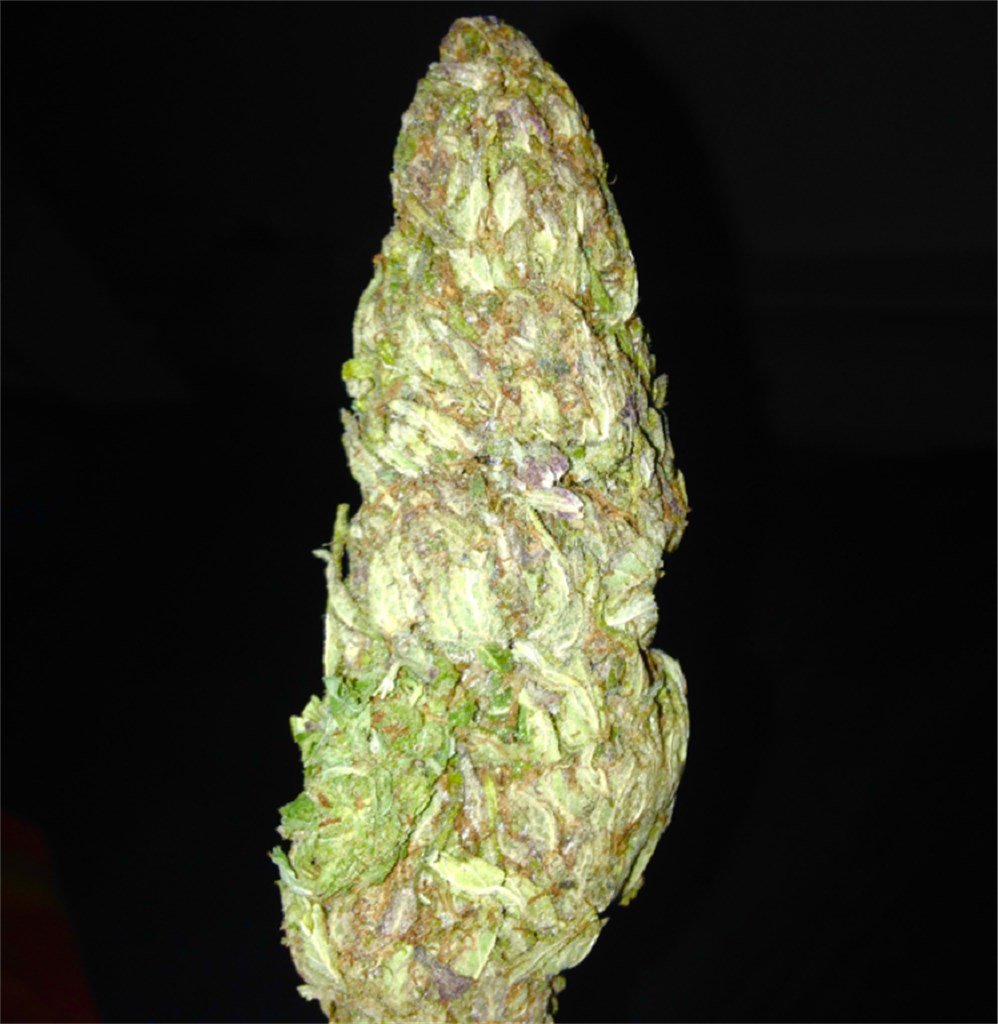 Rainbow Kush - Image 3