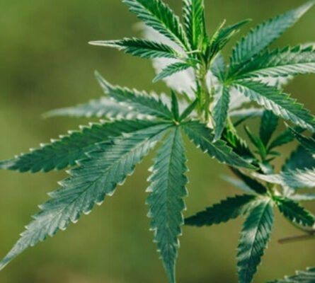 History of Beginning History of Beginning