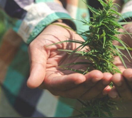 Our Vision Our Vision