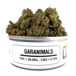 buy Geranimals Online now